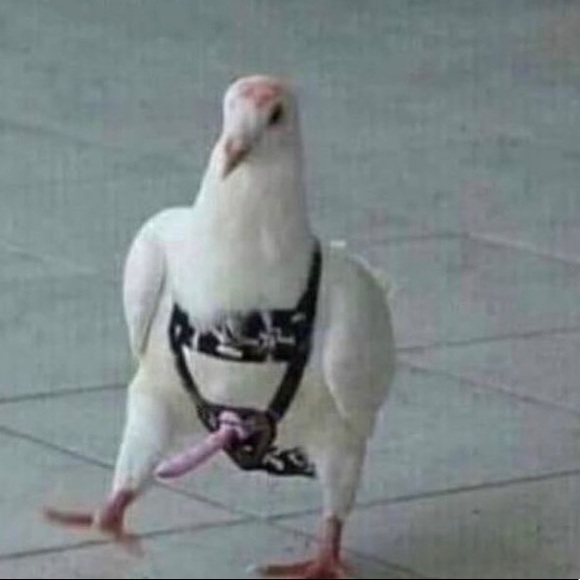 Meet your Posher, Brian - Picture 1 of 1